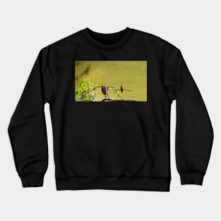 Bulbul Bird Crewneck Sweatshirt